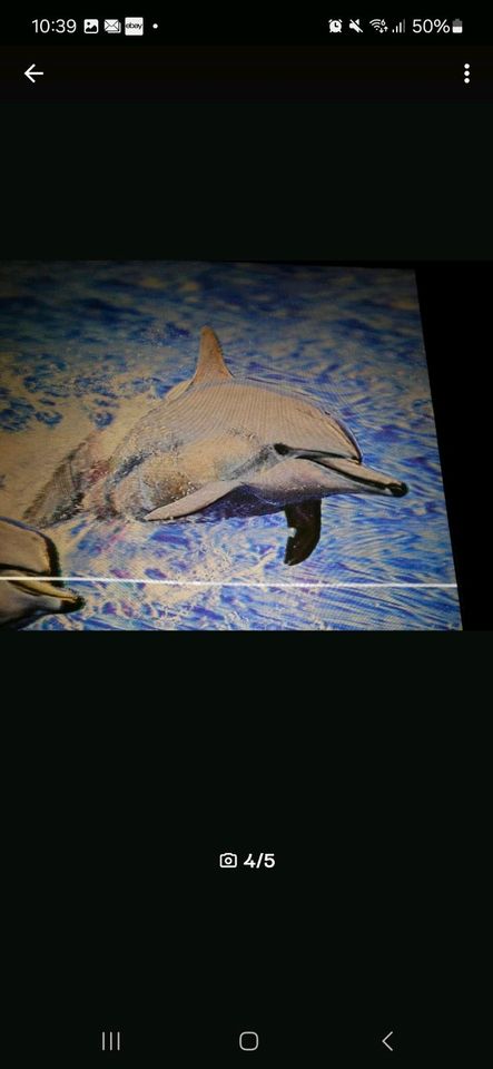 Delfin 3D Bild Animation Hingucker neuwertiger Zustand in Satteldorf