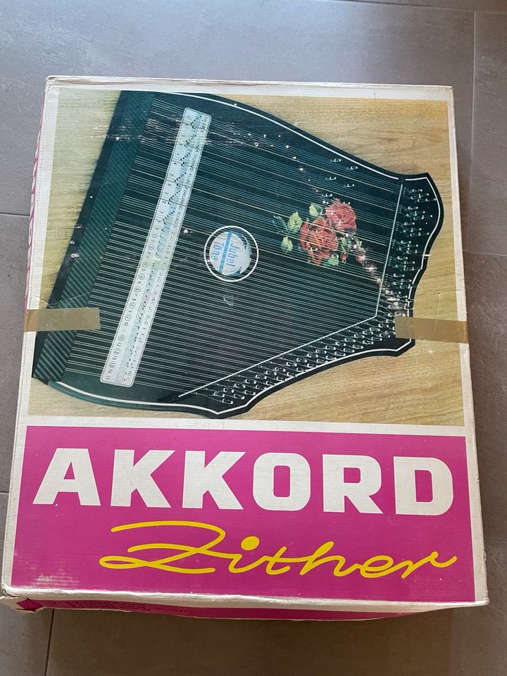 Akkord - Zither in Eckernförde