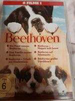 ❤️ BEETHOVEN, 6 DVDs, ☆ 6 FILME, EIN HUND NAMENS BEETHOVEN TOP☆ Bayern - Moosburg a.d. Isar Vorschau