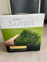 Hitze- und Trockenrasen  Rasen Saatgut Schwab Bayern - Pfaffenhofen a.d. Ilm Vorschau