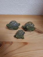 Schildkröten Figuren Set Horn-Lehe - Lehesterdeich Vorschau