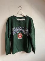 Havard x Zara Hoodie grün Gr. L Nordrhein-Westfalen - Vlotho Vorschau