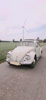 VW Käfer mit Fahrer zum mieten Hochzeit,  Geburtstag etc. Nordrhein-Westfalen - Issum Vorschau