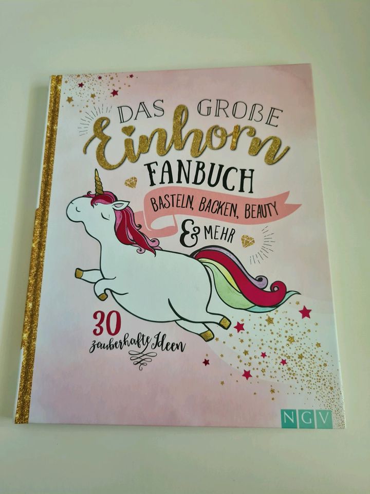 Das große Einhorn-Fanbuch (2017, Gebundene Ausgabe) in Rostock
