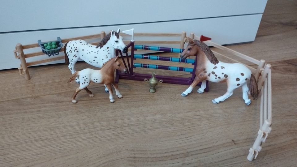 SCHLEICH Pferde Set und Einzelpferde in Rödermark