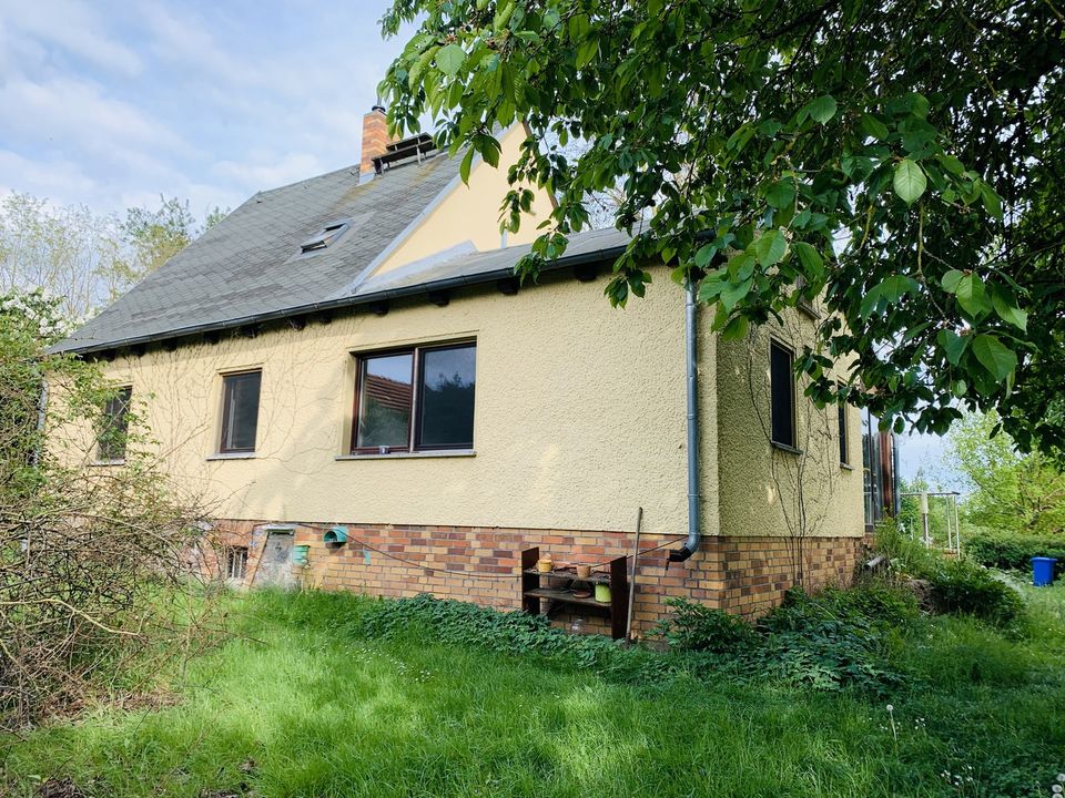 Freistehendes Einfamilienhaus im Grünen mit großer Scheune, Stallgebäude und Garten in Falkenberg