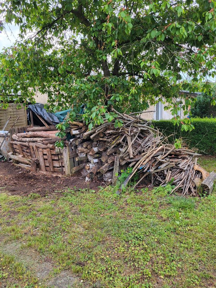 Feuerholz trocken in Welzow