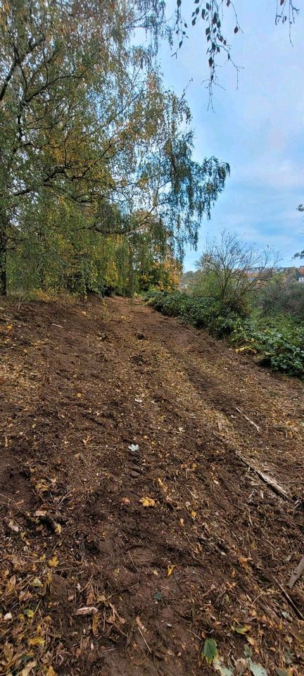 VERMIETUNG 60PS Mähraupe Forstmulcher Mulchraupe Energreen Mieten in Seesen