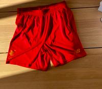 FC  Liverpool New Balance Shorts in Größe L. Pankow - Prenzlauer Berg Vorschau