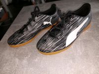 Puma Schuhe Gr.38 Nordrhein-Westfalen - Marl Vorschau