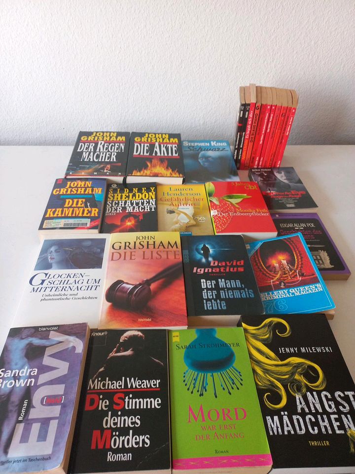 28 Thriller, Krimis John Grisham,  Steven King, Edgar Wallace,ä in Rieschweiler-Mühlbach