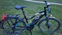 Haibike sduro 5.0 ebike 500wh e bike Trecking m Hessen - Hohenahr Vorschau