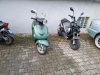 Derbi Rex Taunus piaggio sym race China roller konvolut rest Bayern - Amberg Vorschau