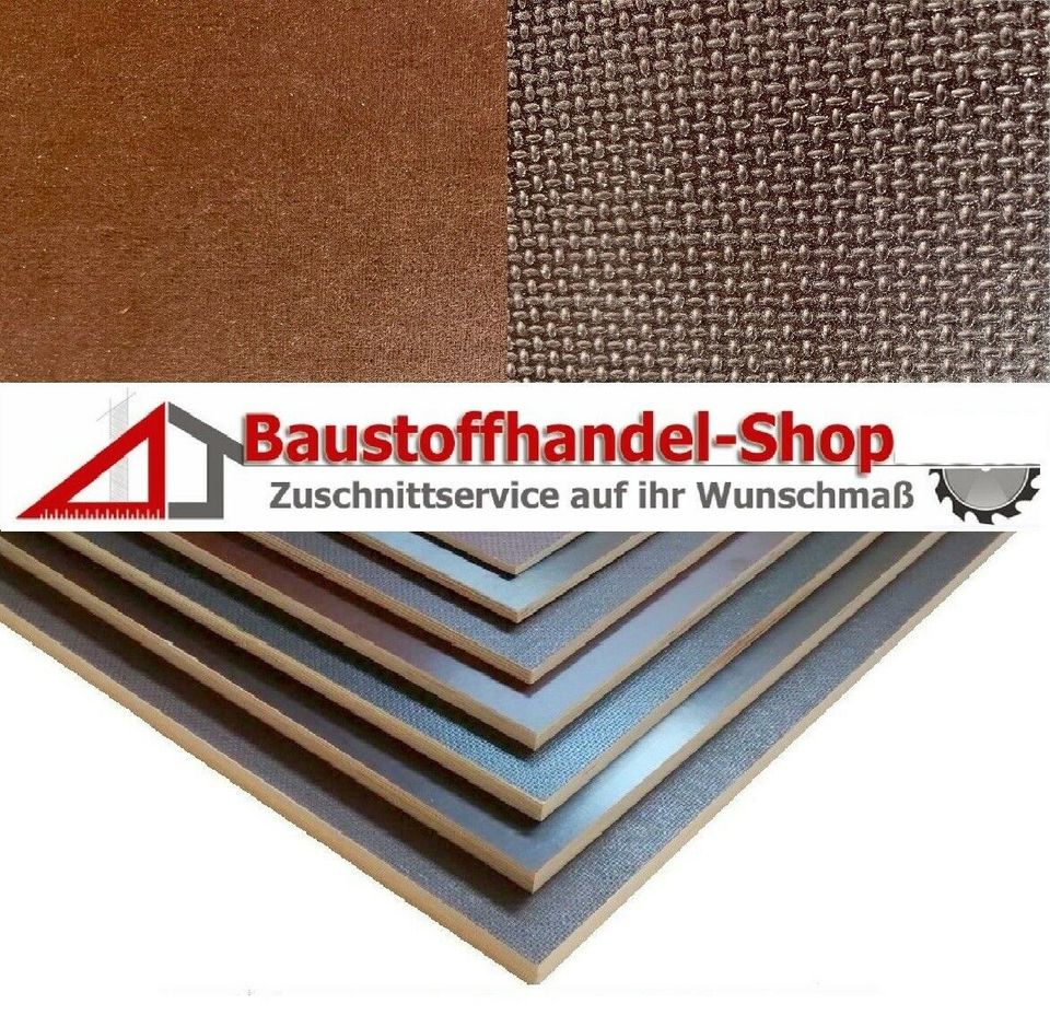 Siebdruckplatte 21 mm Anhängerplatte Zuschnitt möglich 250x125cm in Winnweiler