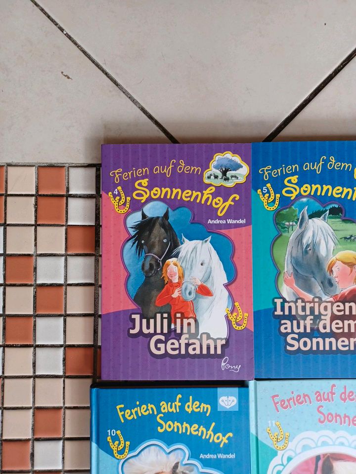 Ponyclub Bücher,  pferdebücher nicht im Handel erhältlich in Passau