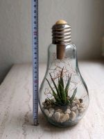 Glühbirne Deko Pflanze Terrarium Lampe LED Ambient 23cm hoch Baden-Württemberg - Plochingen Vorschau