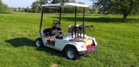 Golf Cart  2 Sitzer Type  DG-C2 Niedersachsen - Syke Vorschau