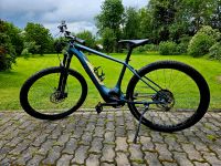 Specialized Levo HT Comp Neuwertig XL Bayern - Lautertal Vorschau