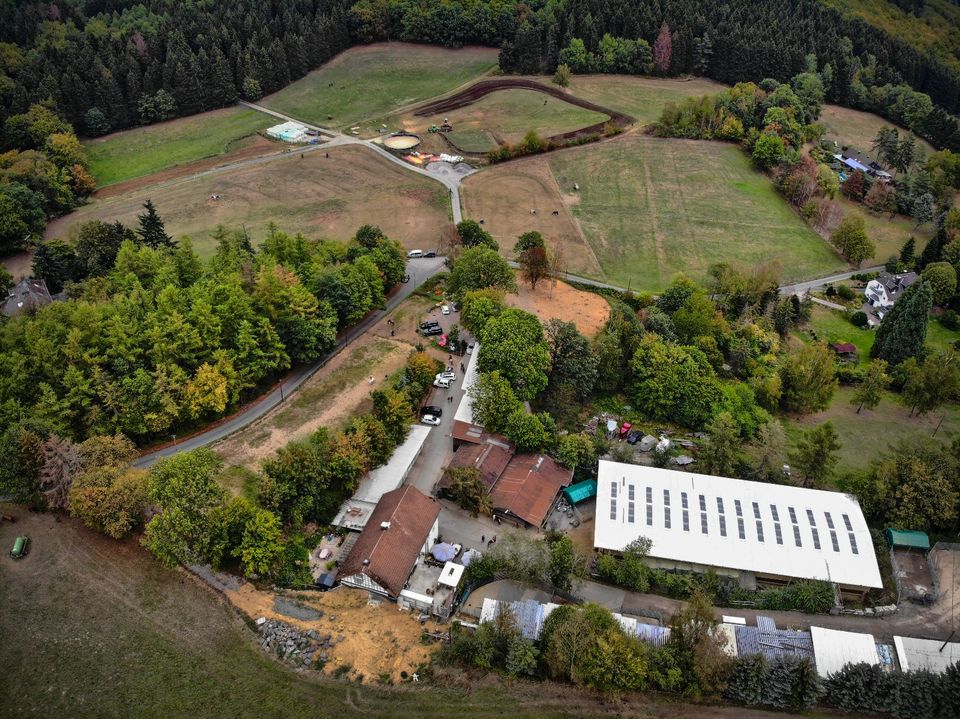 Pferdebox Vollpension in Iserlohn