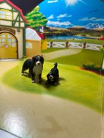 Schleich, Set, Hunde, Puppe, Spielzeug Hessen - Karben Vorschau