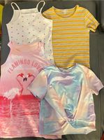 Shein Primark Shirt Top Rippshirt Longshirt Flamingo 152 Hannover - Misburg-Anderten Vorschau