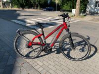 E-Bike Riese & Müller Hessen - Viernheim Vorschau