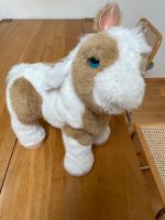 furreal friends pony-baby Hessen - Waldems Vorschau