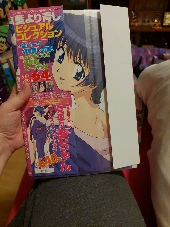 Ai Yori Aoshi Artbooks in Ottweiler