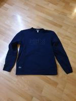 Lacoste Pullover Nordrhein-Westfalen - Hemer Vorschau