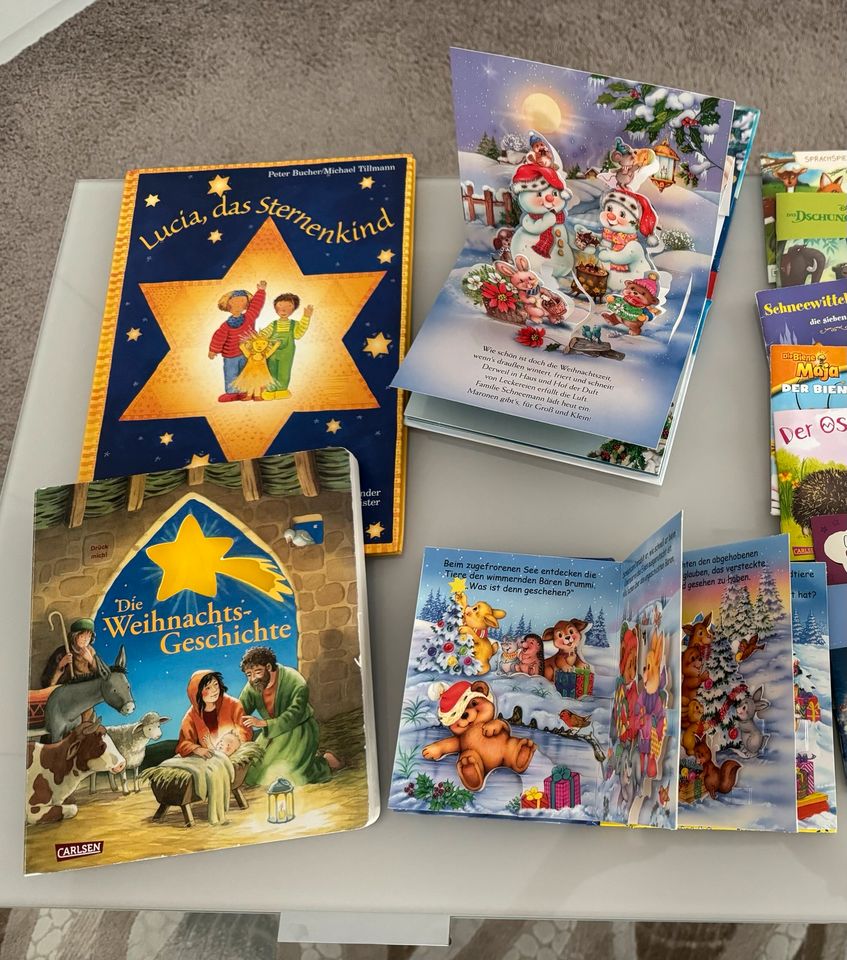 SET aus 4 Büchern  Bücher Weihnachtsbuch Kinderbuch in Braunschweig