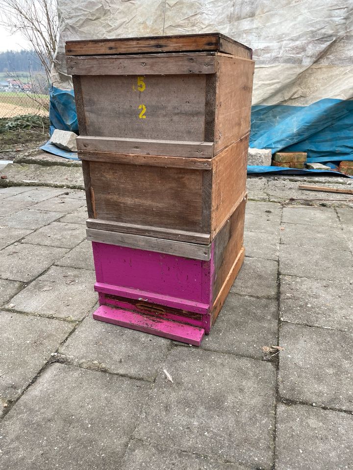 Bienenkästen Zander in Weng