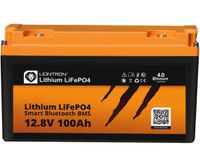 LIONTRON 100 Ah Lithium LiFePo4 Batterie NEU + OVP Rheinland-Pfalz - Ellern (Hunsrück) Vorschau