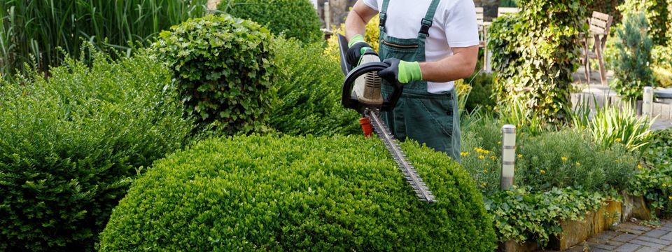 Gartenpflege, Gartenarbeit, Rasenpflege & Grünschnittabfuhr in Berlin