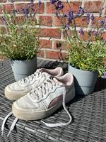 Puma Sneaker weiß rosa / Pfirsich Farben Straßenschuhe 38 Damen Kiel - Suchsdorf Vorschau