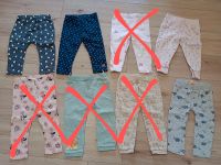 4 Hosen Leggings Jogginghosen Pinguin Blumen Niedersachsen - Bodenwerder Vorschau