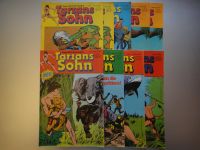 9 x Tarzans Sohn 1980/Nr. 3, 9, 10, 13 +1981/Nr. 2 x 1, 2, 2 x 10 Hessen - Wiesbaden Vorschau