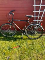 Herren Fahrrad Schleswig-Holstein - Handewitt Vorschau