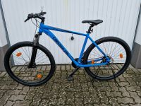 neues MTB Checker Pig Acid Pig 29" 21-Gang Kettenschaltung Schleswig-Holstein - Neumünster Vorschau