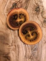 10+ Tamarillo / Baumtomate Samen Hessen - Fulda Vorschau