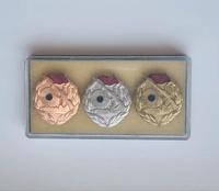 DDR NVA Kampfgruppen Abzeichen - Medaille - Ostalgie - Orden Sachsen-Anhalt - Halle Vorschau