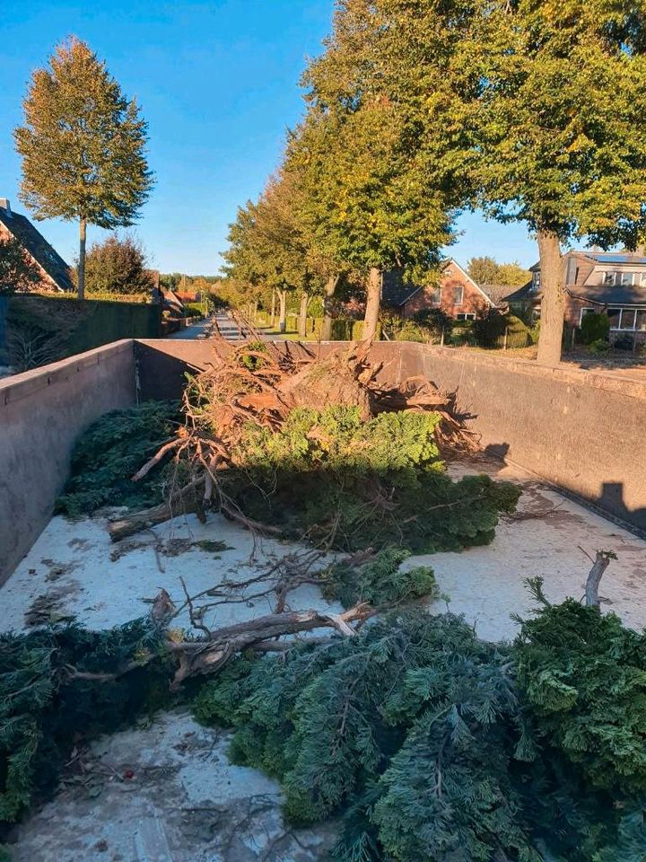 Fällarbeiten Baumfällung Buschabfuhr Grünschnitt Laub Holz sägen in Sauensiek