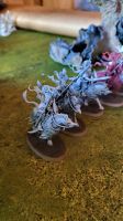 Warhammer Age of Sigmar Vanari Dawnriders Bayern - Bamberg Vorschau