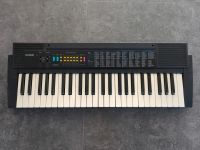 Casio CTK-50 Musikinstrumente Nürnberg (Mittelfr) - Aussenstadt-Sued Vorschau