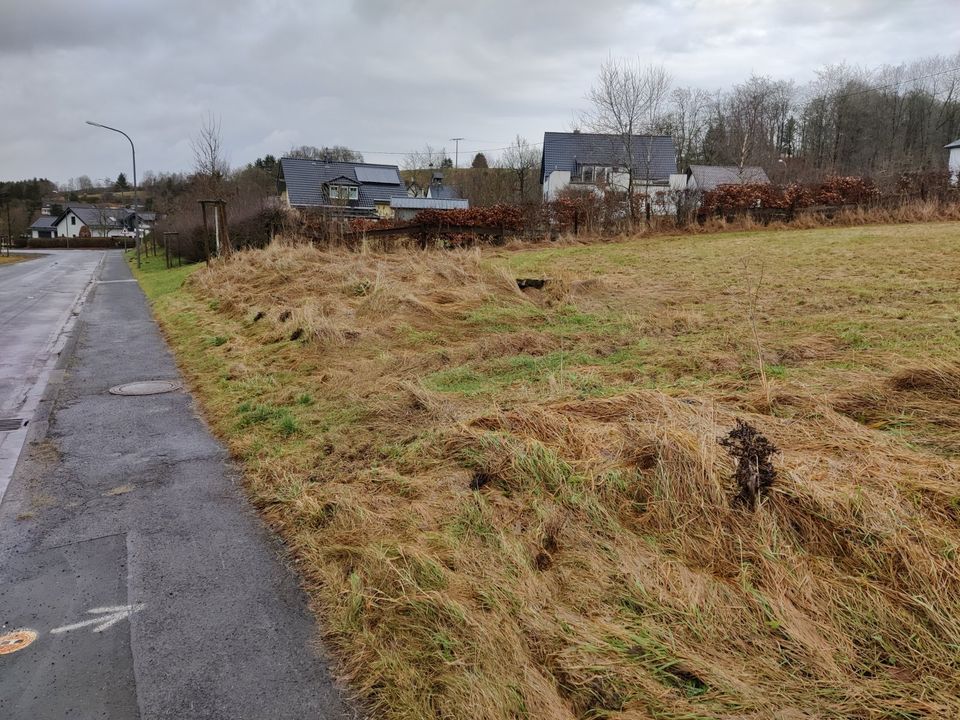 Eifel - 2810qm Grundstück inkl. Baugenehmigung in Lascheid