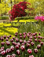 Work & Travel Krankenpfleger (m/w/d) exam. 4.400 €/M Niedersachsen - Uelzen Vorschau