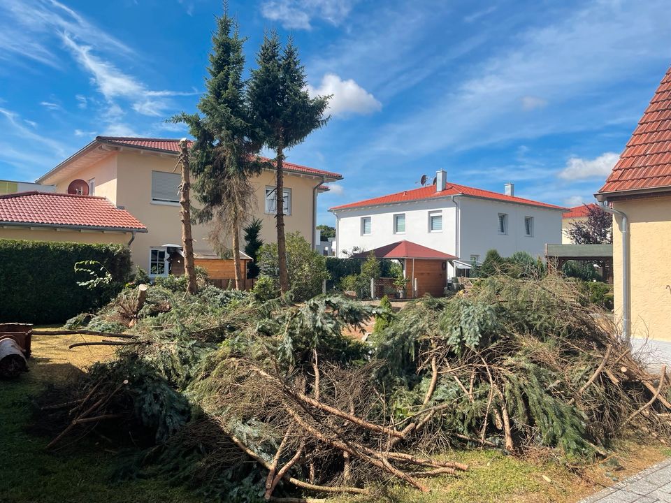 Baumfällung, Unterstützung, Sturmschaden in Königsbrunn