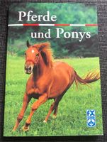 Kinderbuch: Pferde und Ponys Nordrhein-Westfalen - Kreuztal Vorschau