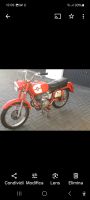 GILERA GIUBILEO 98 OLDTIMER Nordrhein-Westfalen - Solingen Vorschau