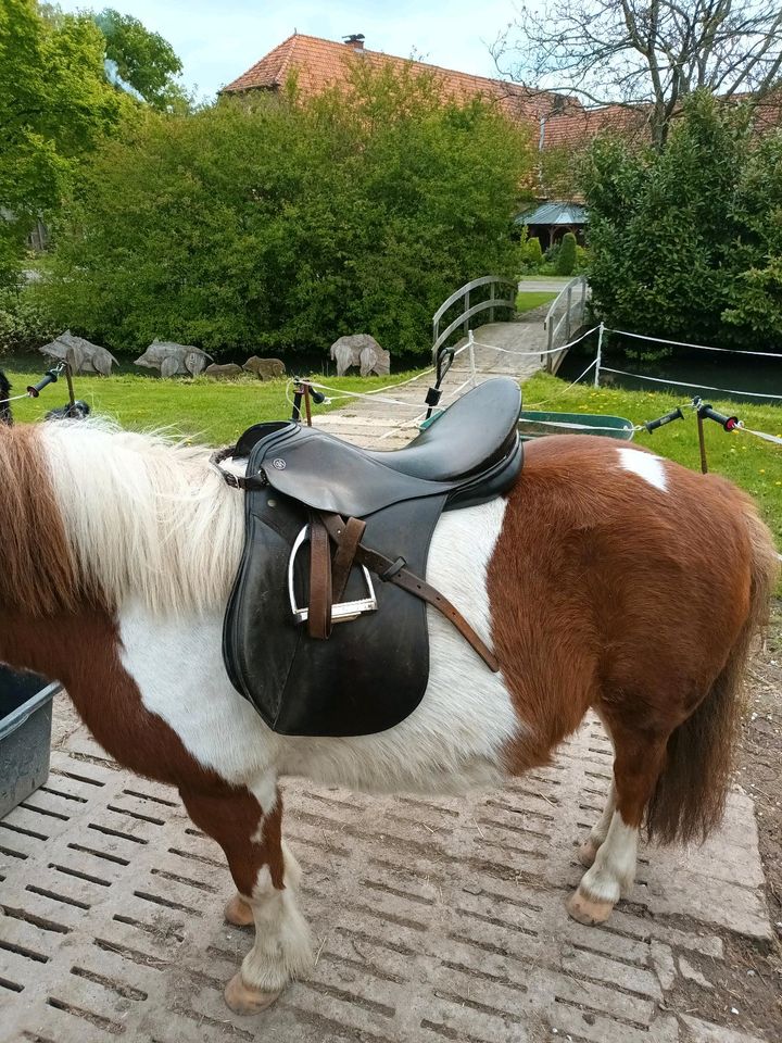 Pony Sattel in Nottuln