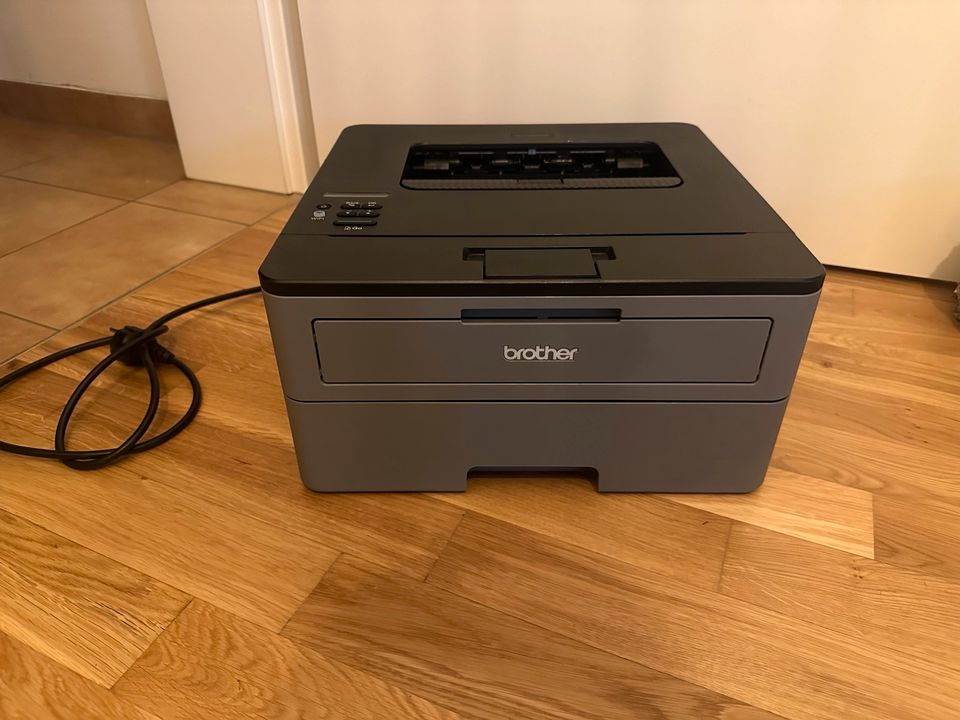 Brother Drucker Laserdrucker schwarz weiß HL-L2350DW in Haar